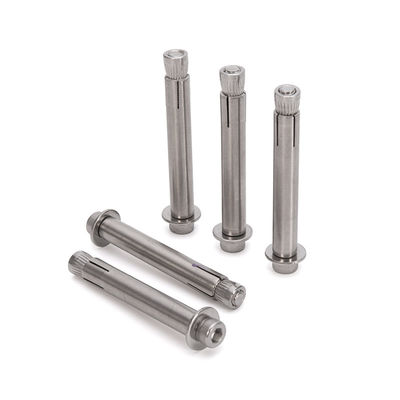 1/2 直径ステンレスステール プレート 拡張アンカー ボルト スクロール ボルト ヘックスヘッド コンクリート メトリックシステムで長持ち