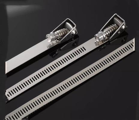 重用用用用自閉式ステンレス鋼ケーブル・ライス 4.6*300mm SS304/316 Fscat