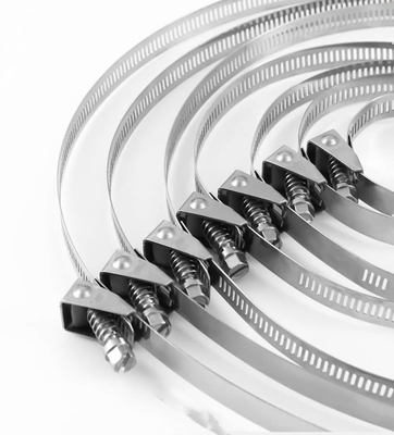 重用用用用自閉式ステンレス鋼ケーブル・ライス 4.6*300mm SS304/316 Fscat