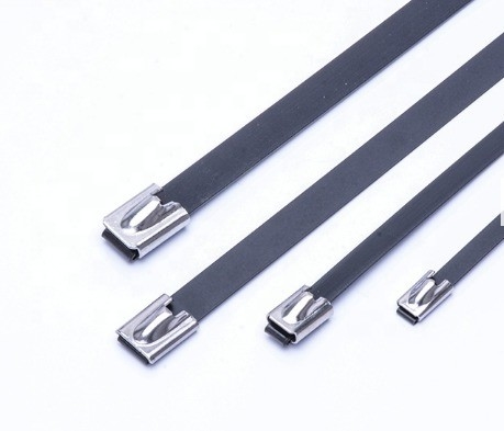 汎用ナイロンボールロック ステンレス鋼のケーブルネック SS201/SS304/SS316 100%QC 幅広い用途に合格