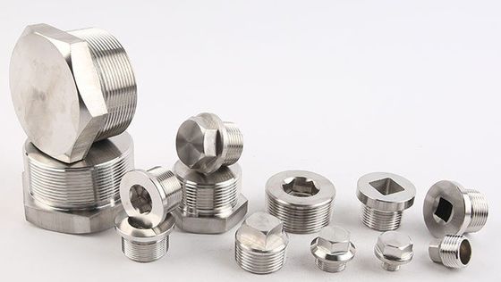 喉頭プラグ 304 ステンレス鋼 外部 六角 フレンズ 顔プラグ 石油・水道のプラグ