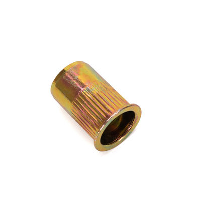 水処理 オーダーメイド ハードウェア ニットナッツ 穴抜き 亜鉛 塗装 彩色 ロックナッツ ブラインドナッツ ステンレス鋼304のDIN標準