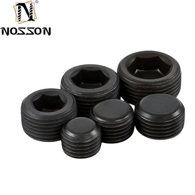 亜鉛付水力螺栓 六角ソケットパイププラグ 角糸 M8 M10 DIN906 産業用パイプ接続用